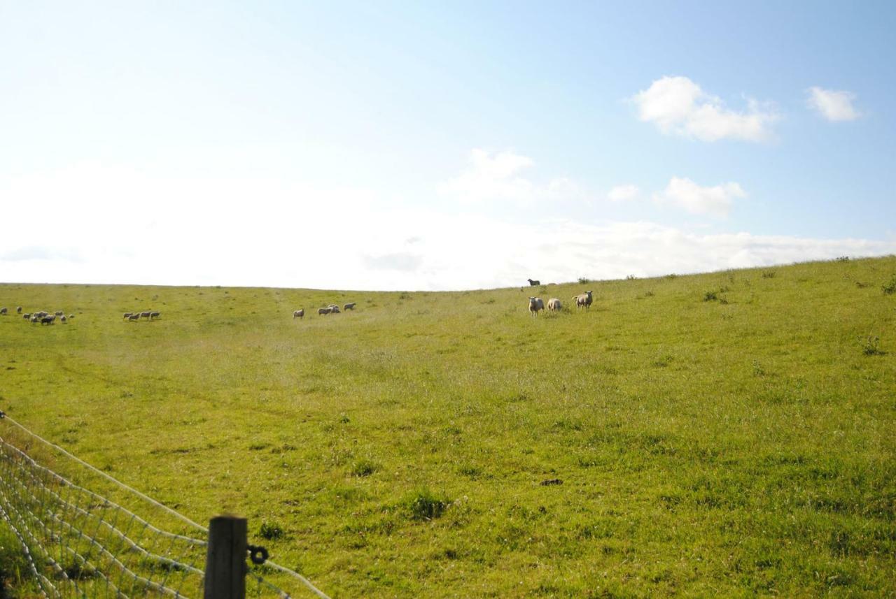 Annemaries Nordseehaus 布特亚丁根 外观 照片
